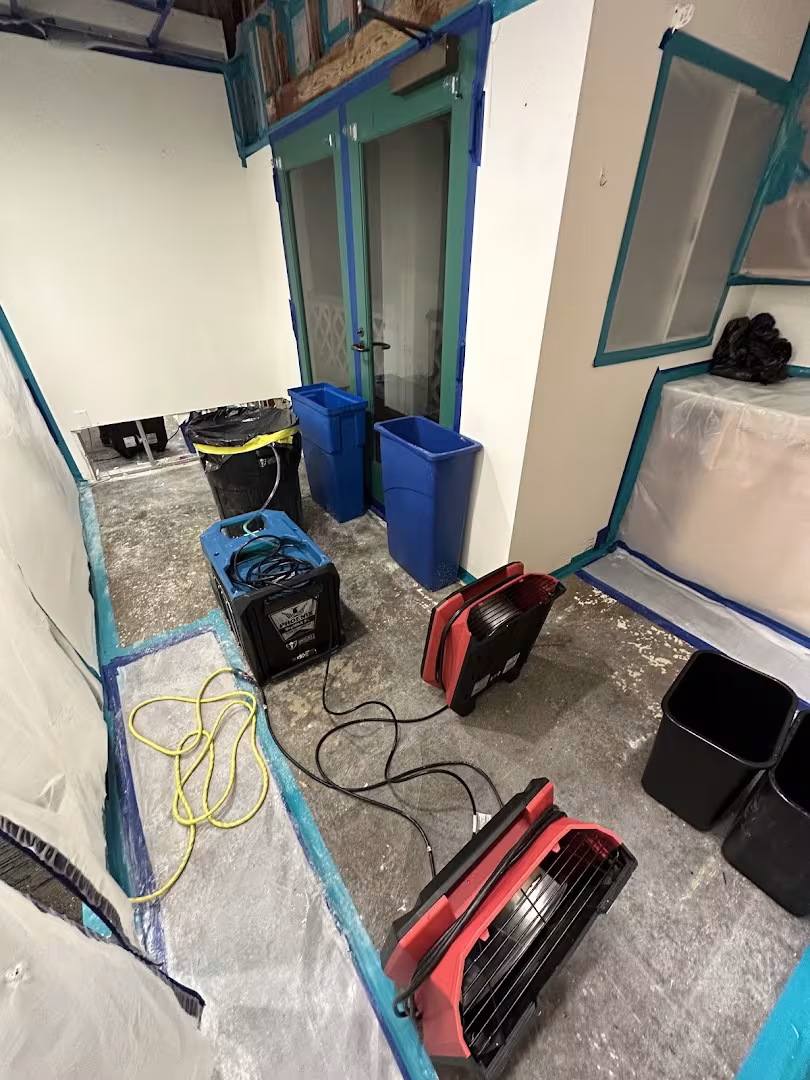 Royal Restoration Pest Control Santa Barbara CA bed-bug