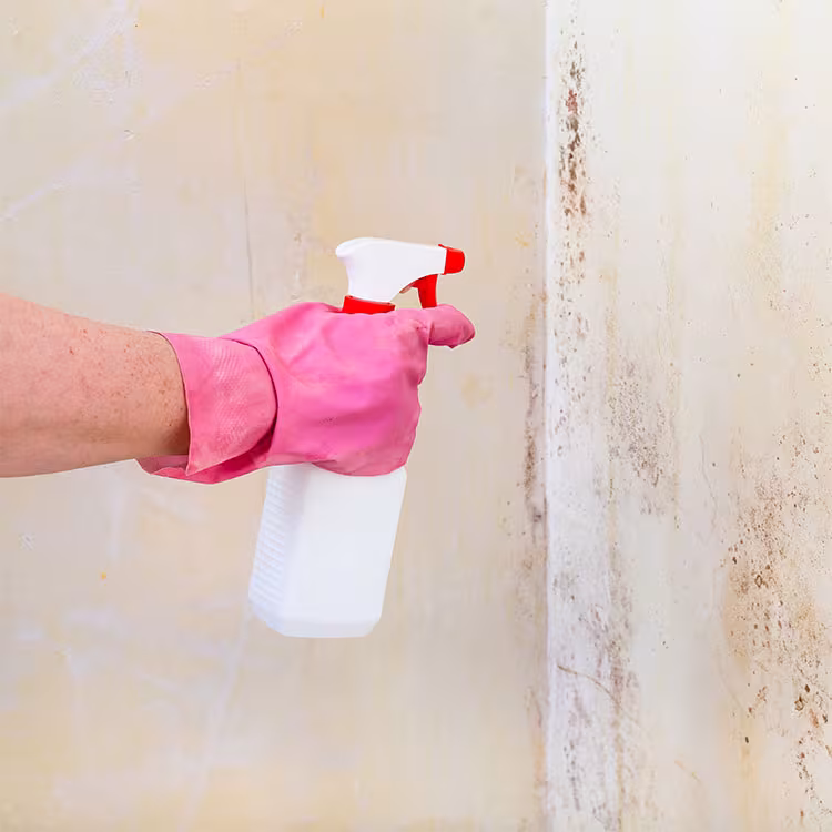 Water Damage Restoration Santa Barbara Water Damage Santa Barbara CA cabinet-toe