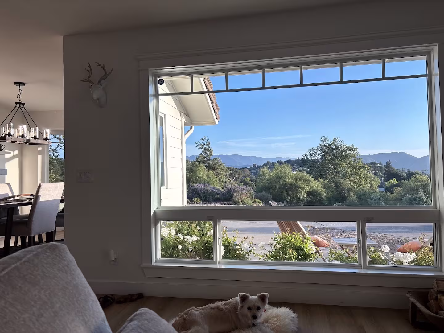 Windows & Doors Santa Barbara CalCoast Glass Tinting, Inc CA sidelite