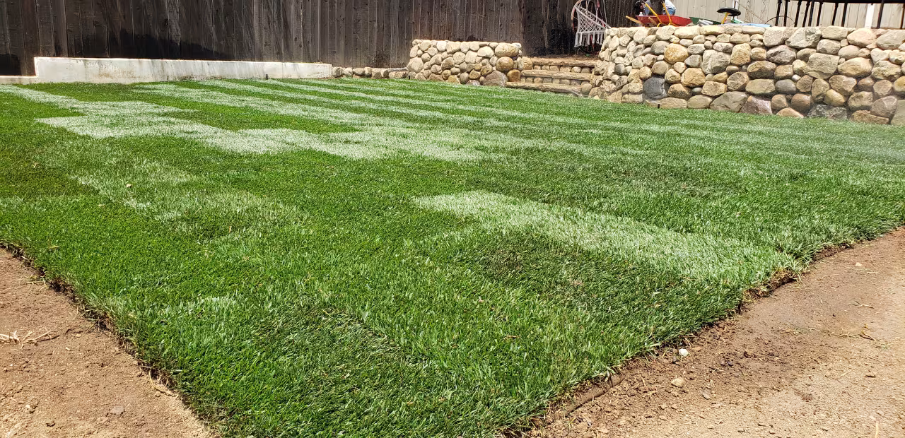 Zac Gonzalez Landscaping Pest Control Santa Barbara CA one-time